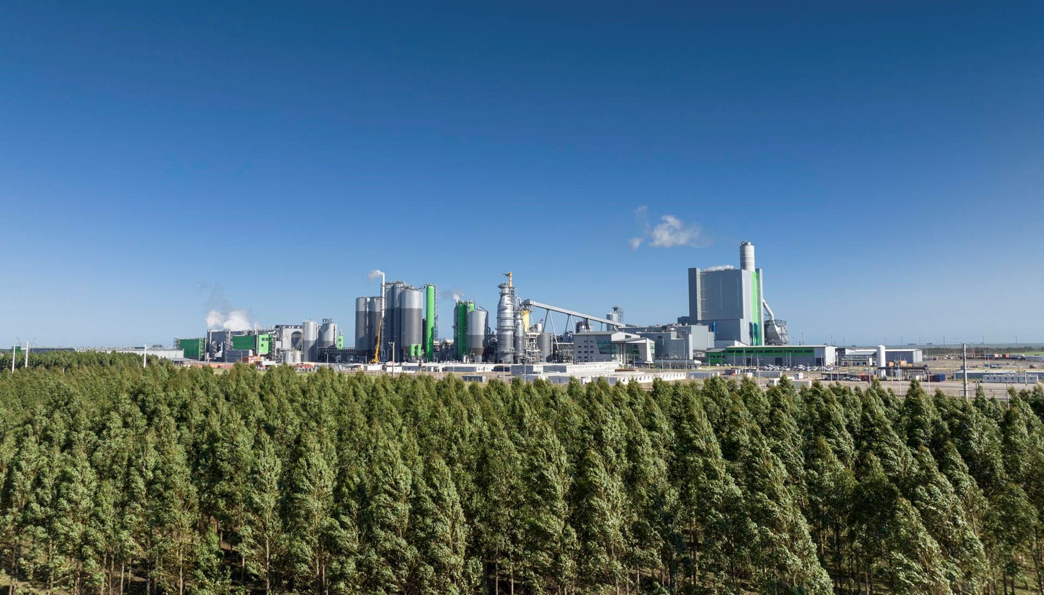 La planta de UPM Paso de los Toros cumple tres años de operación y continúa consolidando su desempeño ambiental