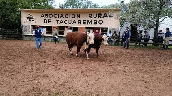 Expo Tacuarembó 9, 10 y 11 de octubre 