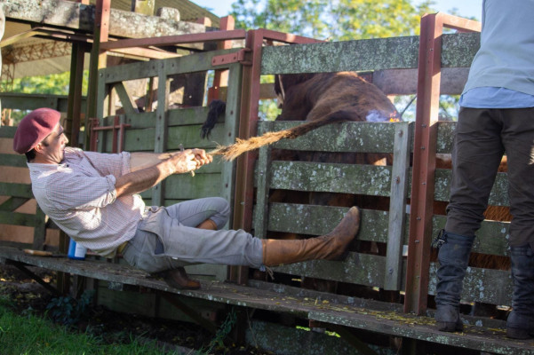 Concurso de Fotografia 4