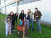 Imagen de muestra