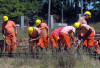 Imagen de muestra
