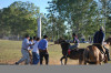 Imagen de muestra