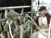 Imagen de muestra