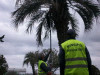 Imagen de muestra